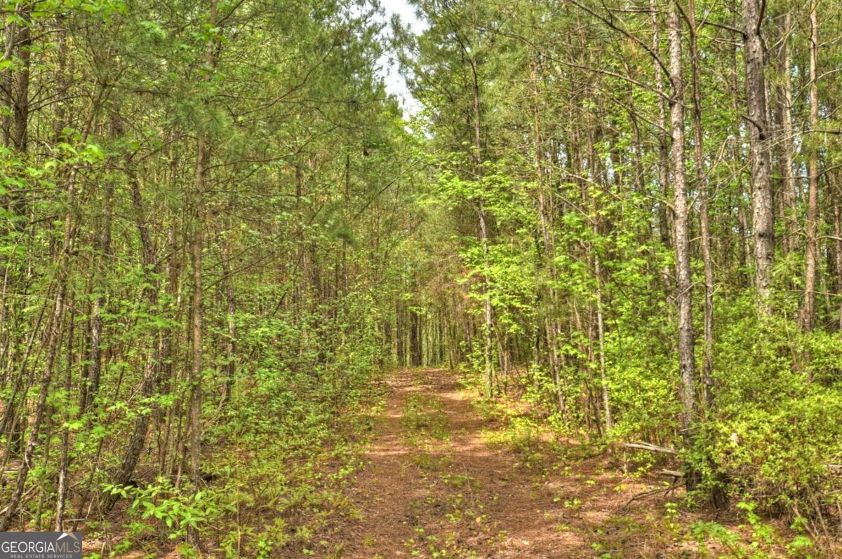 84.37 AC Bethel RD