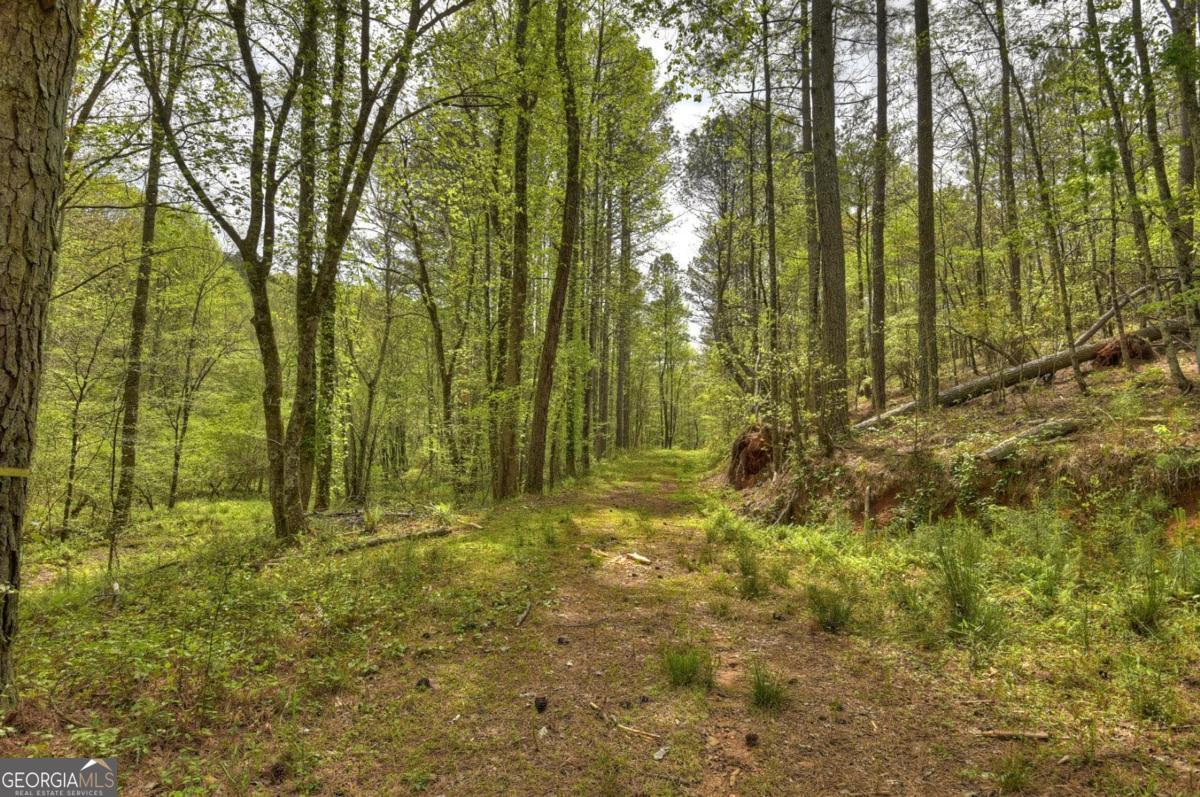 84.37 AC Bethel RD