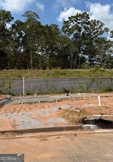 Under Construction! Welcome to West Georgia's newest 55+ planned-life community! Come see what this gorgeous 3 bedroom, two full & one half bath home in The Preserve At The Birches on Maple will look like upon completion! As soon as you walk into the Maple, you are greeted by a foyer with beautifully pre-engineered hardwood floors. Not far ahead, you will see a well-appointed kitchen with granite countertops, beautiful cabinetry & walk-in pantry overlooking the family room and private screened porch. The spacious primary bedroom and bathroom host a beautiful glass frameless shower with beautiful hardware. The main level living provides a second bedroom with a full bathroom. The Maple includes a two car garage and outdoor living space. Residents will enjoy a host of amenities at The Birches Clubhouse including an indoor and outdoor pool, fitness room, group fitness room, pickleball court and community garden all hosted by our very own activities director here to help facilitate your health and wellness at The Birches on Maple.