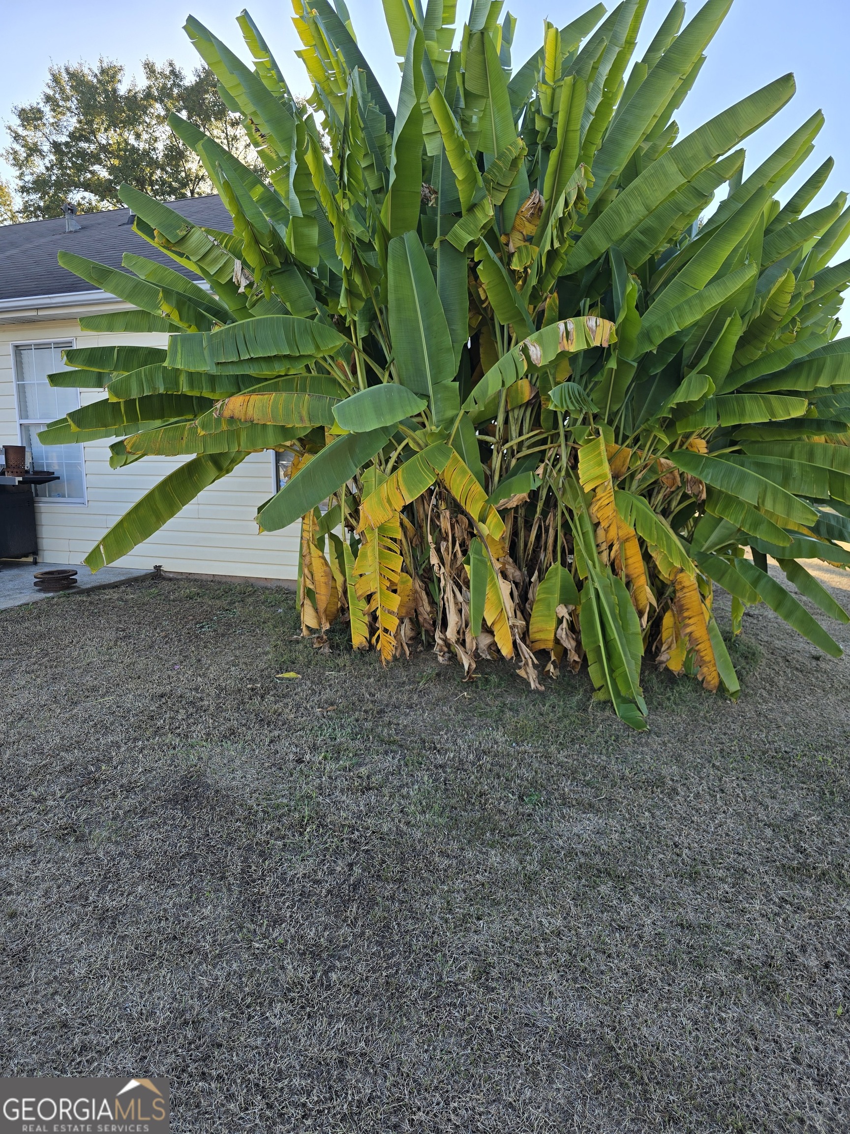 Huntington Place I & II - Residential