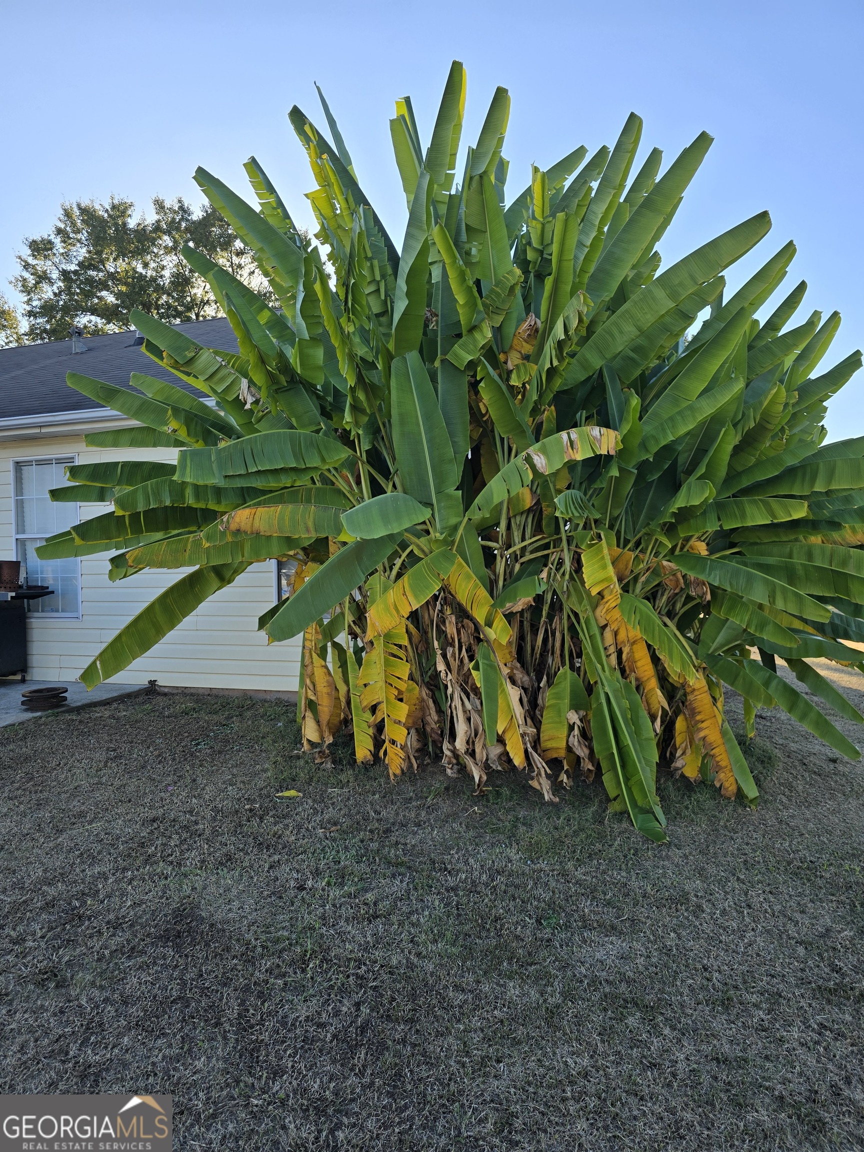 Huntington Place I & II - Residential