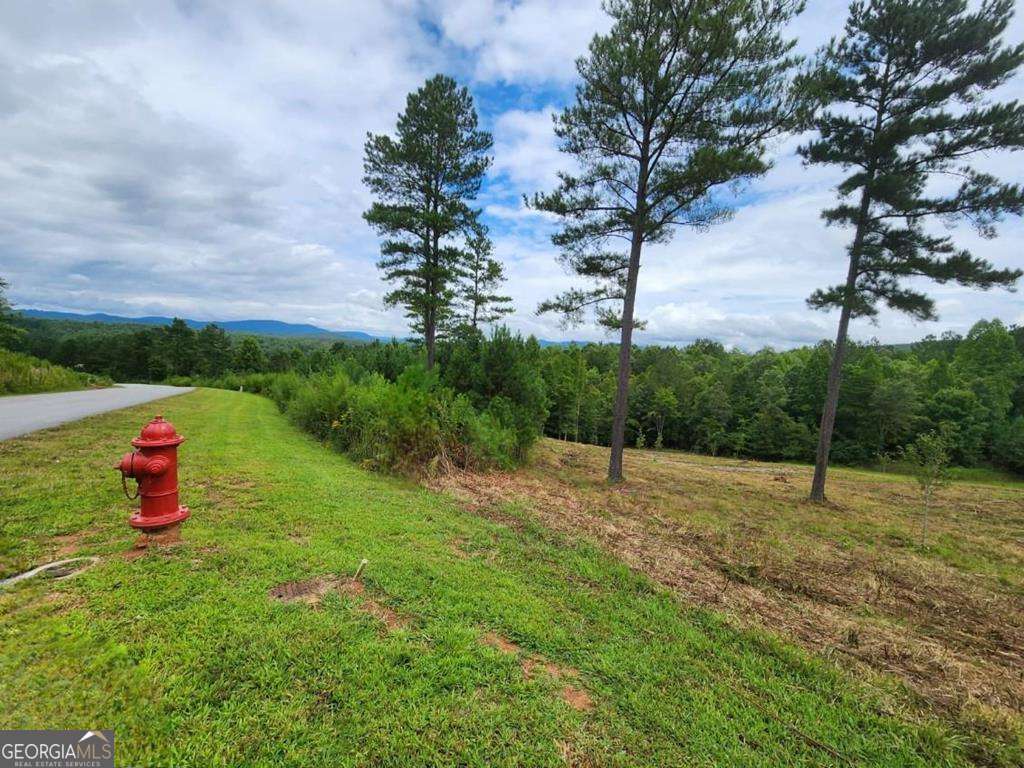 What a great value on a lot in the prestigious community of Thirteen Hundred. This 1.89 acres has rural views and is located in the gated community of Thirteen Hundred which features an Overlook, Stables, Park, Swimming Pool and Marina, Paved Roads and Underground Power. Come escape the hustle and bustle in north GA. Live in the Mountains and Play on The Lake! Hurry before this lot is gone!