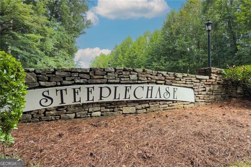 3016 Steeplechase