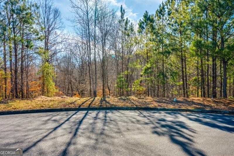 Residential lot ready for you to build your dream home. This lot is located in swim tennis neighborhood of Carter Grove Plantation in the Terrace community. Located in the City limits of Cartersville which you will love from the schools to the shopping to the quaint downtown. The lot is level in front and does slope in the rear with hardwoods and pines and would be a fantastic basement lot. Only a short drive to access I 75 and Highway 41 making commuting easy.
