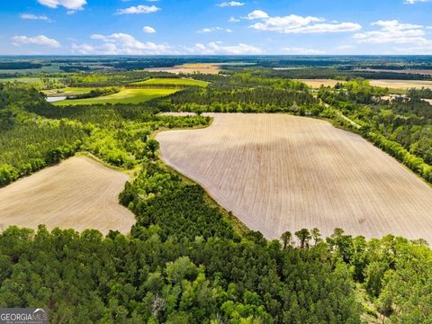 Photo of 0 McMillan, Minnie Giddens, & Lenox Alapaha Road, Lenox, GA 31637 (MLS # 10732014)