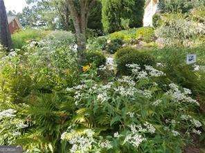 Duluth, Georgia 30097, United States, 4 Bedrooms Bedrooms, ,4 BathroomsBathrooms,Residential,Active,157810