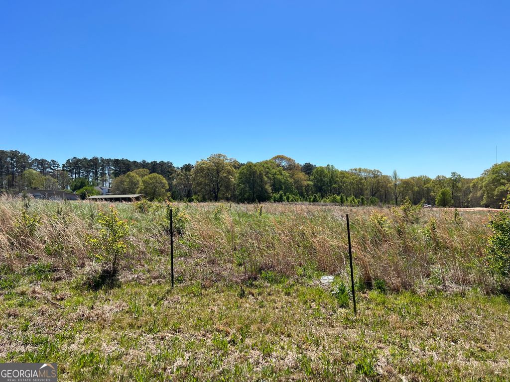 Photo of 2868 Flat Shoals Road SW, Conyers, GA 30094 (MLS # 10758070)