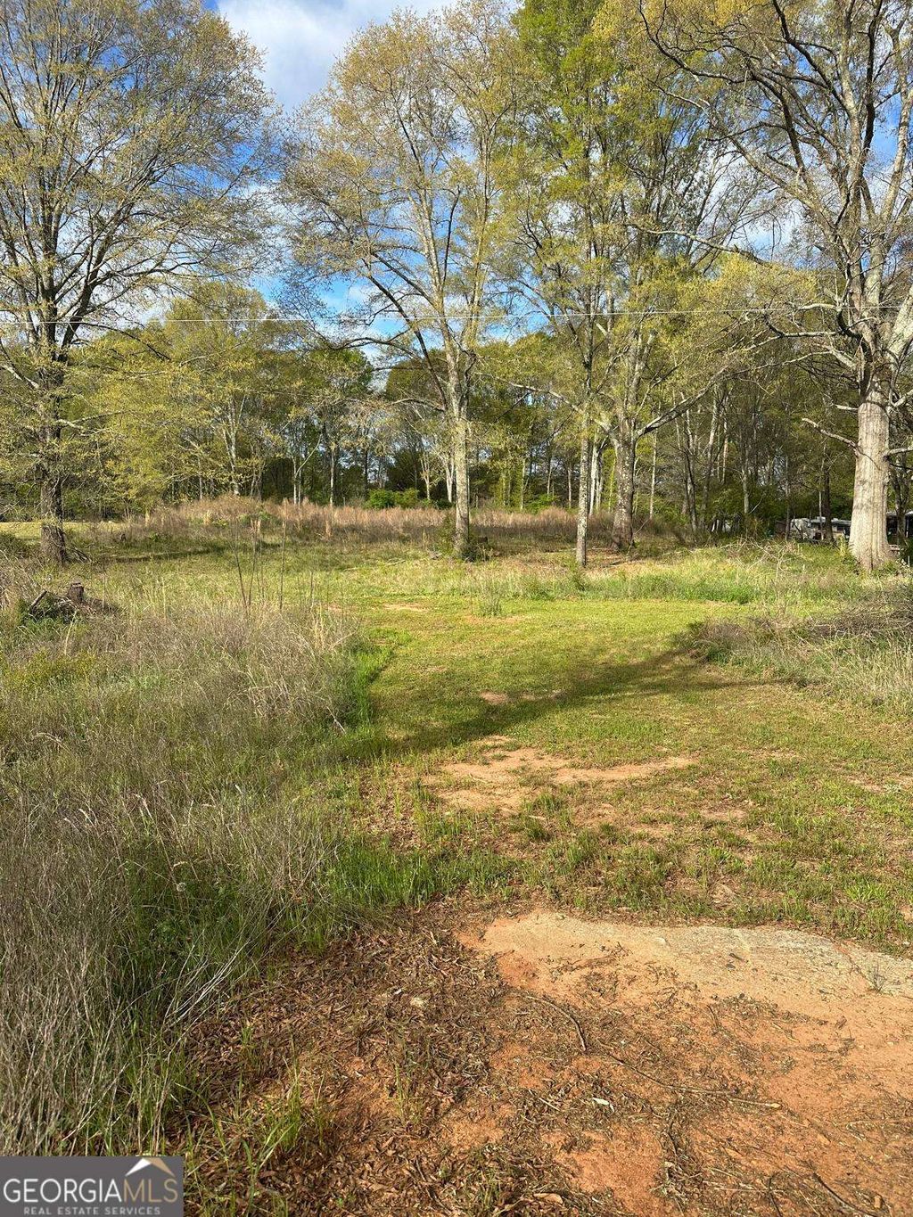 Photo of 1001 Laboon Road, Monroe, GA 30655 (MLS # 10735945)