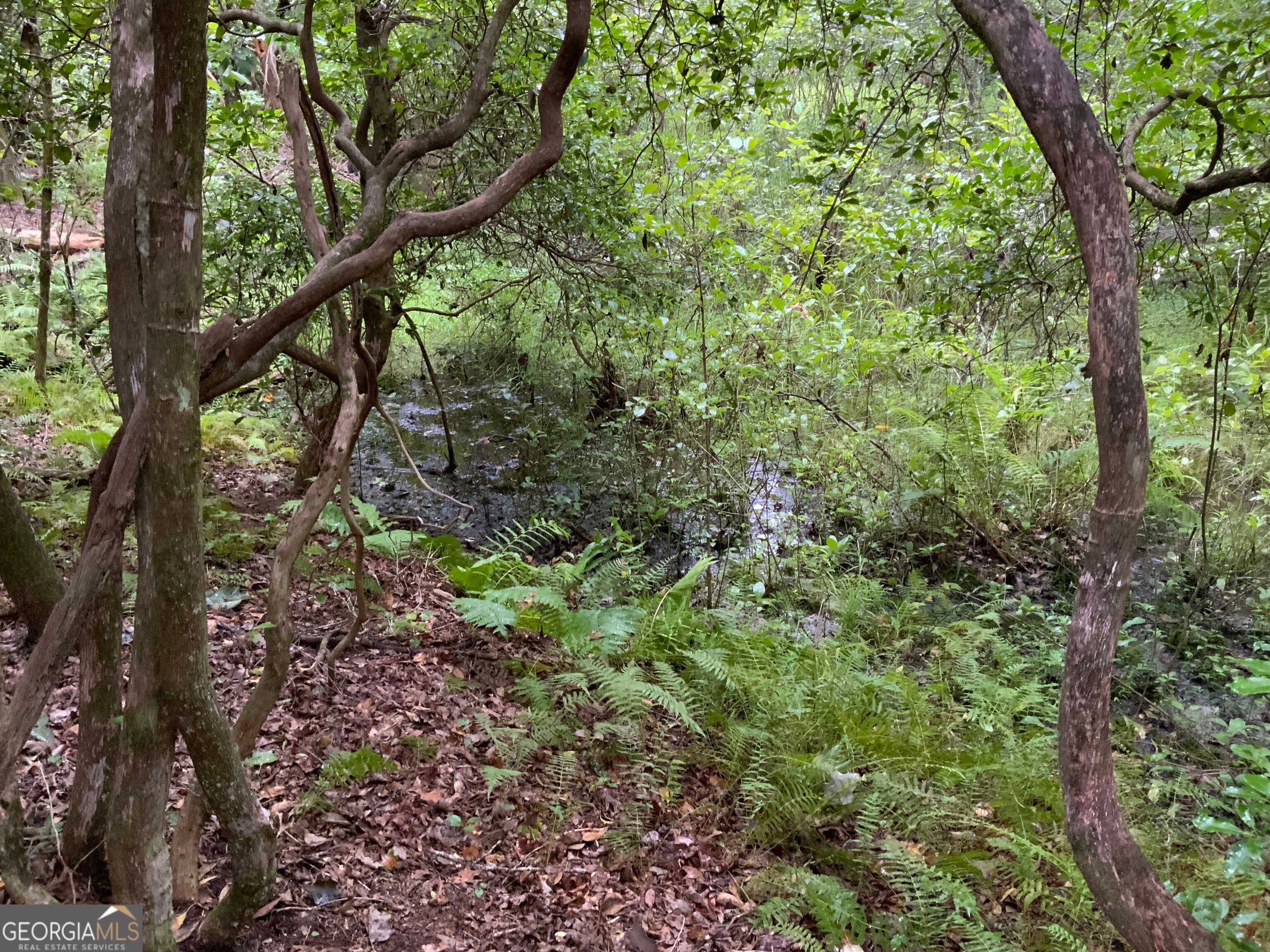 0 Skylake and Wheeler Ridge RD