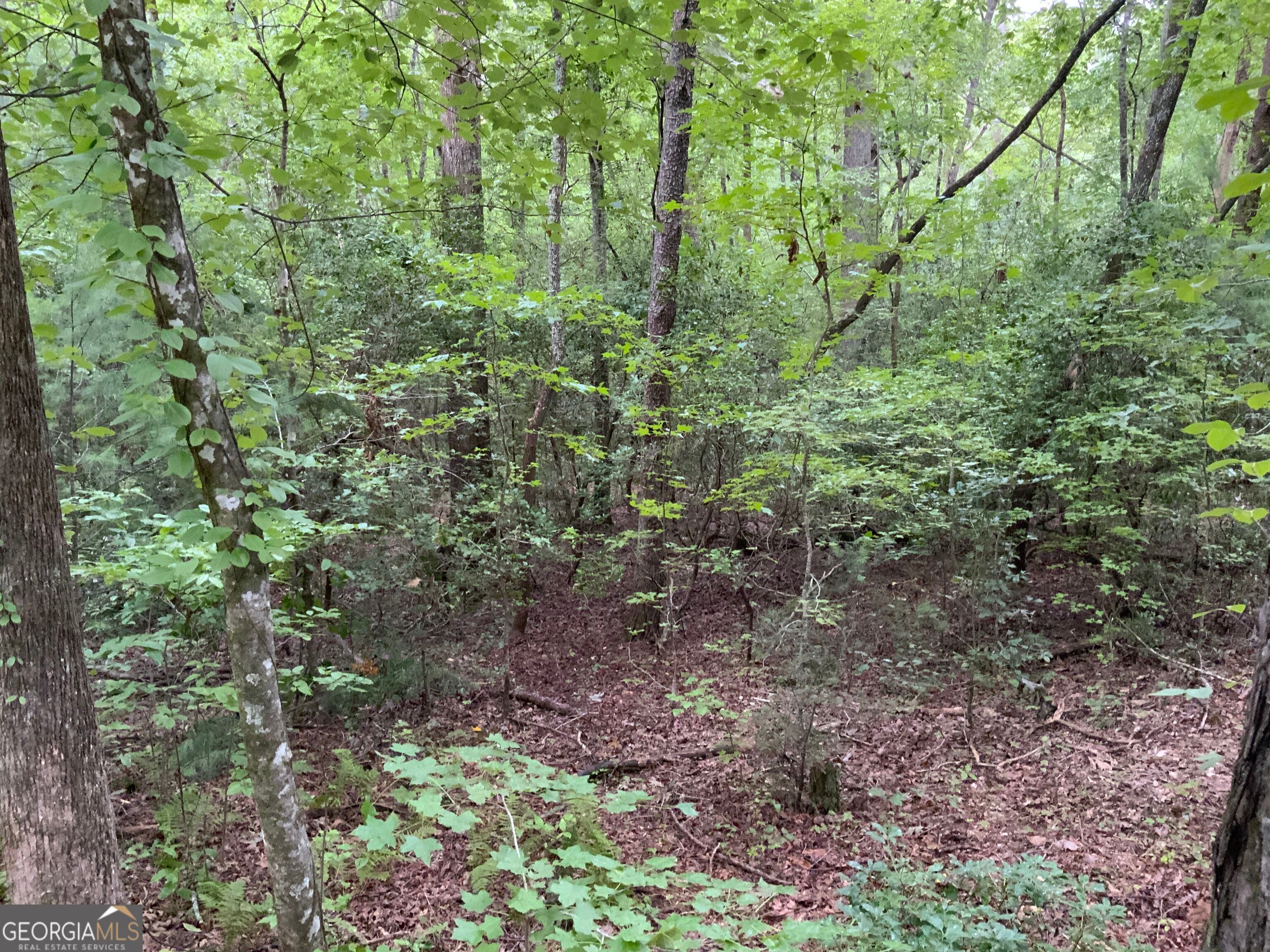0 Skylake and Wheeler Ridge RD
