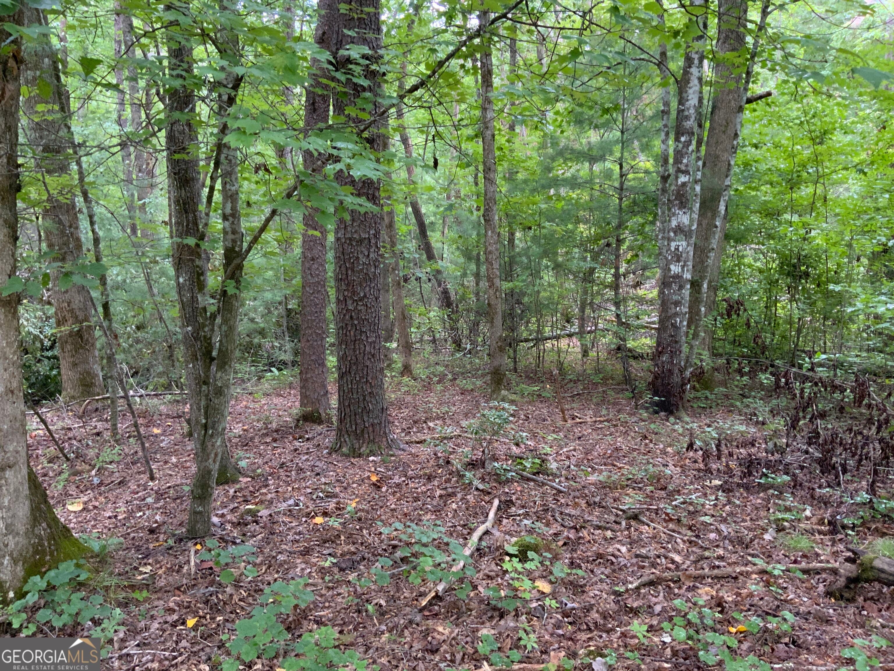 0 Skylake and Wheeler Ridge RD