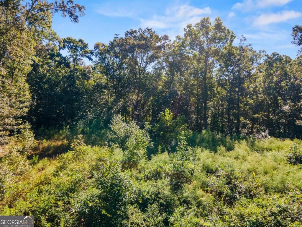 Photo of 11300 Hutcheson Ferry Road, Chattahoochee Hills, GA 30268 (MLS # 10879372)