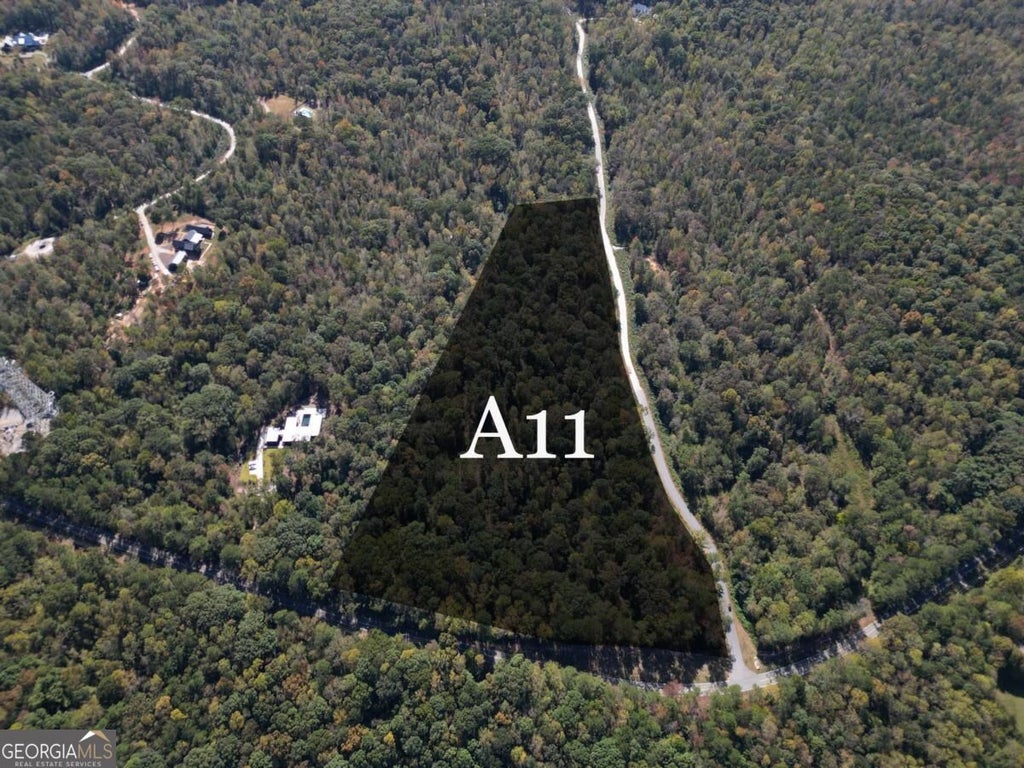 Photo of 11300 Hutcheson Ferry Road, Chattahoochee Hills, GA 30268 (MLS # 10879372)