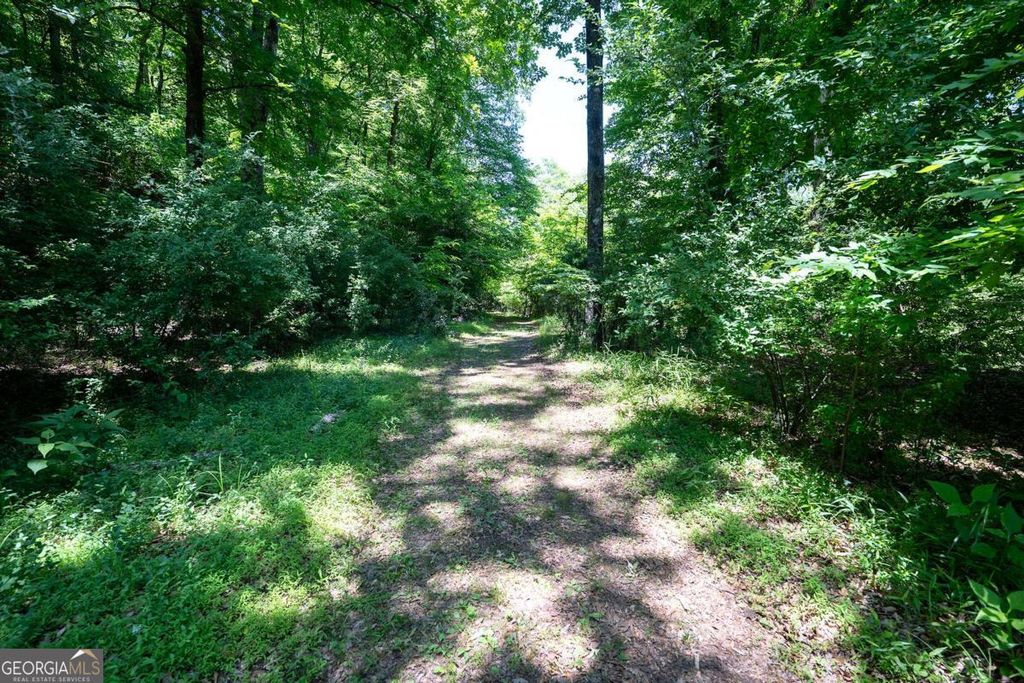 Photo of 10 River Shoals Drive, Athens, GA 30606 (MLS # 10765257)