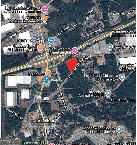 0 Zion Church & Hwy 124 RD Braselton GA 30517