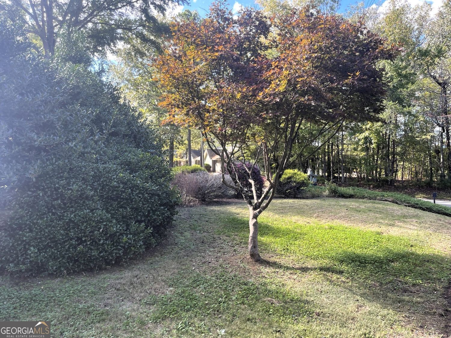 31 Williamsburg DR NW