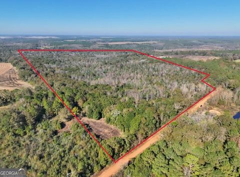 Photo of 0 Bull Branch Road, Coffee Springs, AL 36318 (MLS # 10649255)