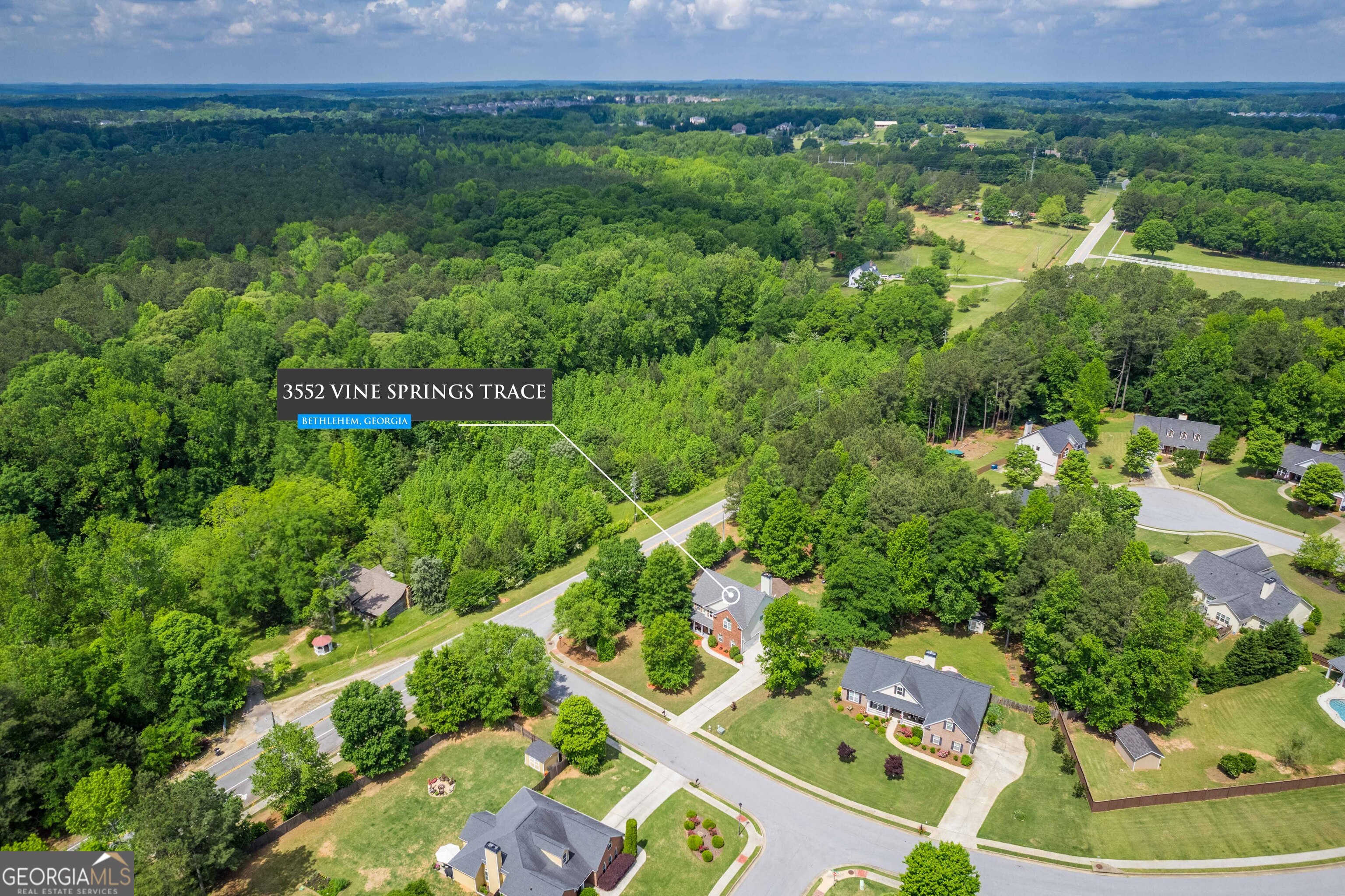 3552 Vine Springs TRCE