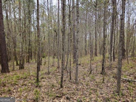 Photo for 0 TRACT 3C Us Highway 341 N