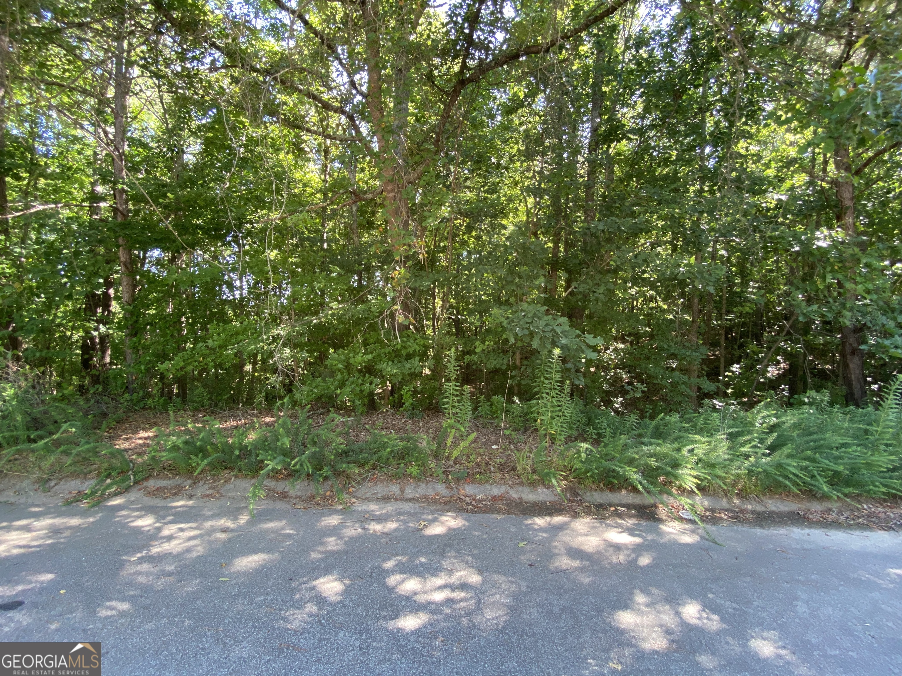 Stationed in the serene and prestigious Oak Mountain Championship Golf subdivision of Carrollton, GA, this wonderful 1.01-acre cul-de-sac lot offers an unparalleled opportunity to build your dream home in one of the most sought-after communities in the area. This prime piece of real estate provides the perfect blend of privacy and community living, all within the highly acclaimed Carrollton city school district, ensuring top-tier education for your children. Oak Mountain Championship Golf subdivision isn't just a place to live-it's a lifestyle. As a resident, you'll have access to an array of premium amenities designed for relaxation, recreation, and socializing. The 18-hole championship golf course is a golfer's paradise, offering challenging yet enjoyable rounds of golf amid stunning landscapes. For those who prefer a more active lifestyle, the community boasts well-maintained tennis courts and a sparkling pool, perfect for unwinding on warm Georgia days. This cul-de-sac lot offers a unique opportunity to enjoy the best of both worlds: a peaceful, private retreat within a vibrant, amenity-rich community. Don't miss your chance to secure this prime piece of real estate in the Oak Mountain Championship Golf subdivision. Contact us today to schedule a viewing and take the first step towards making your dream home a reality.