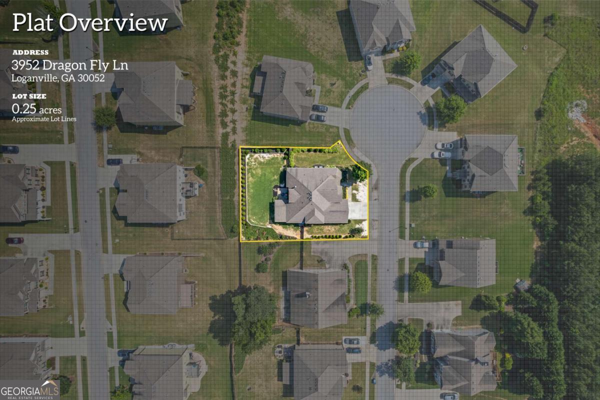 3952 Dragon Fly LN