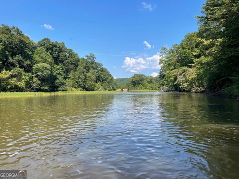0 HWY 36 LOT 4 Woodland GA 31836