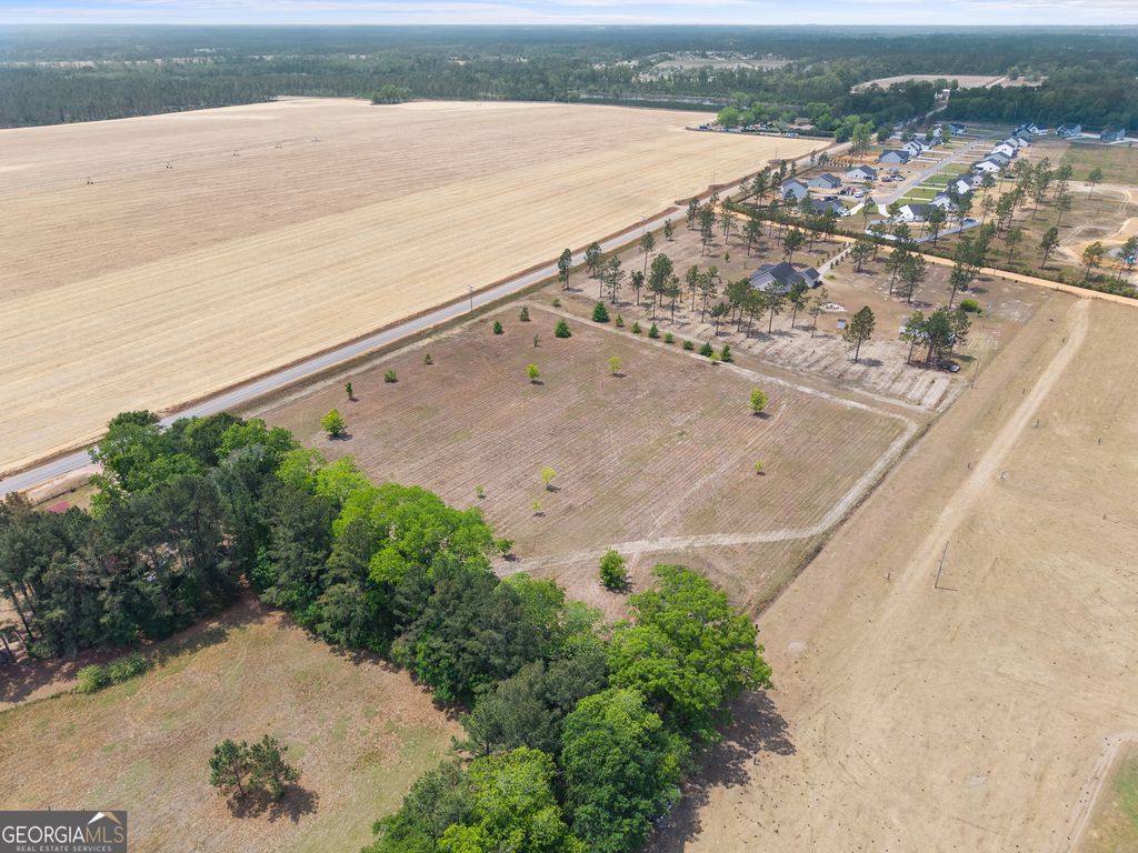 Photo of 0 Clito Road, Statesboro, GA 30461 (MLS # 10753341)