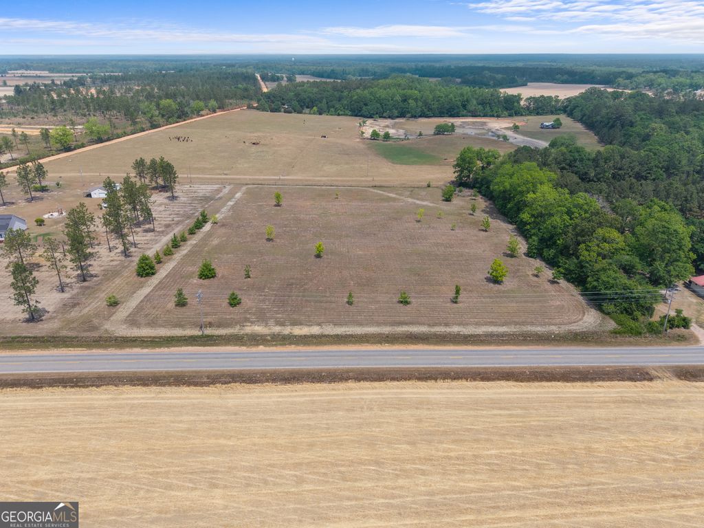 Photo of 0 Clito Road, Statesboro, GA 30461 (MLS # 10753341)