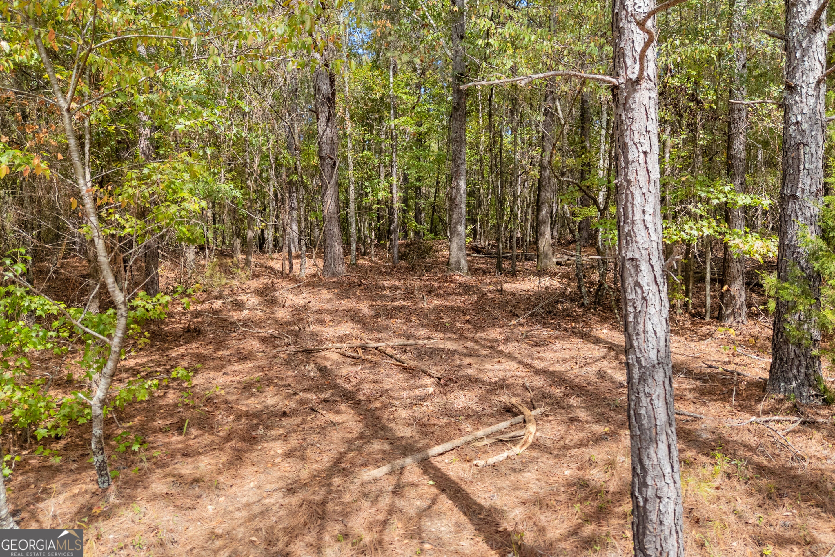0 Kincaid Cemetery RD