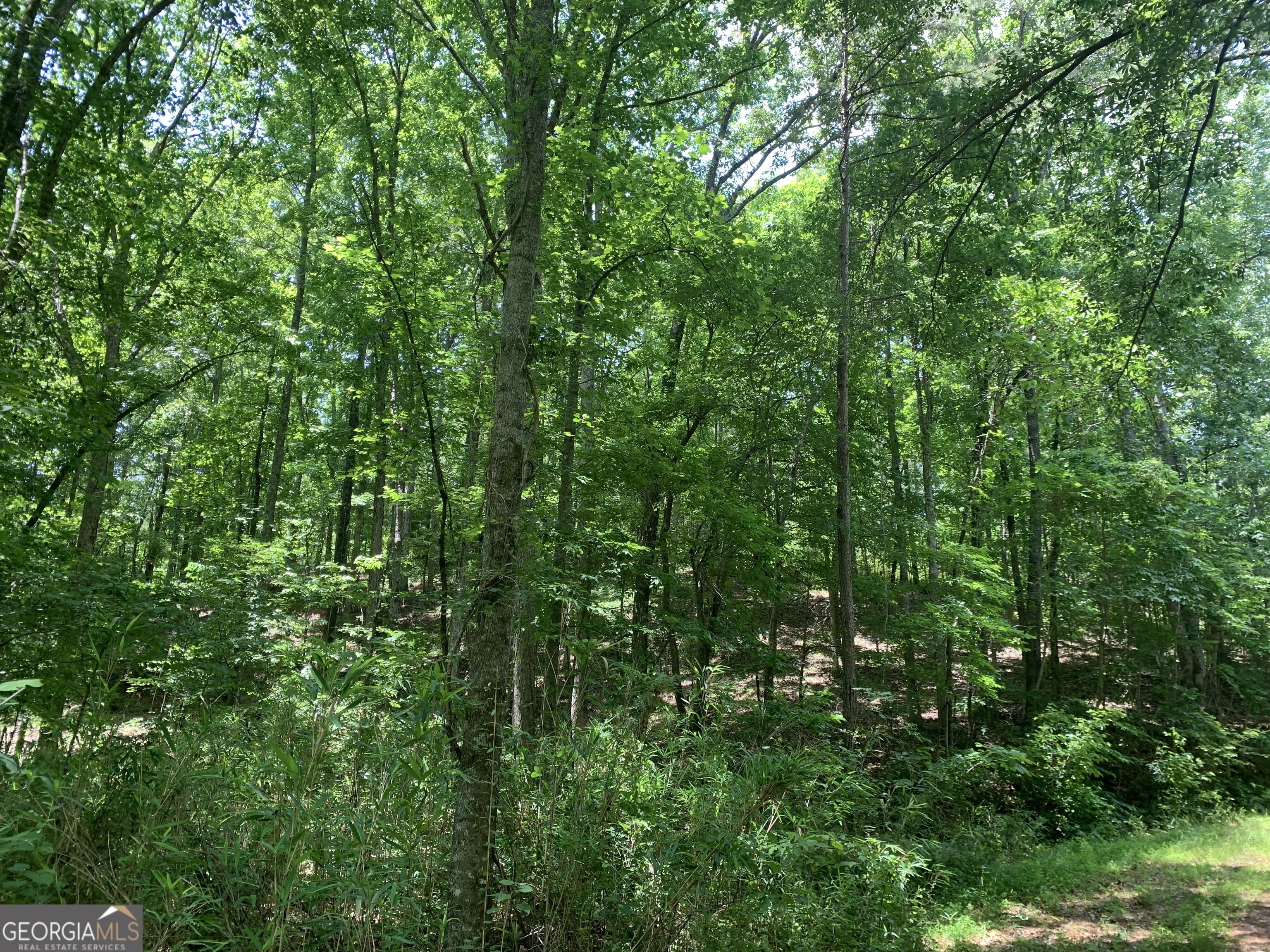 Photo 6 of 6 of 96.33 ACRES Victory RD land