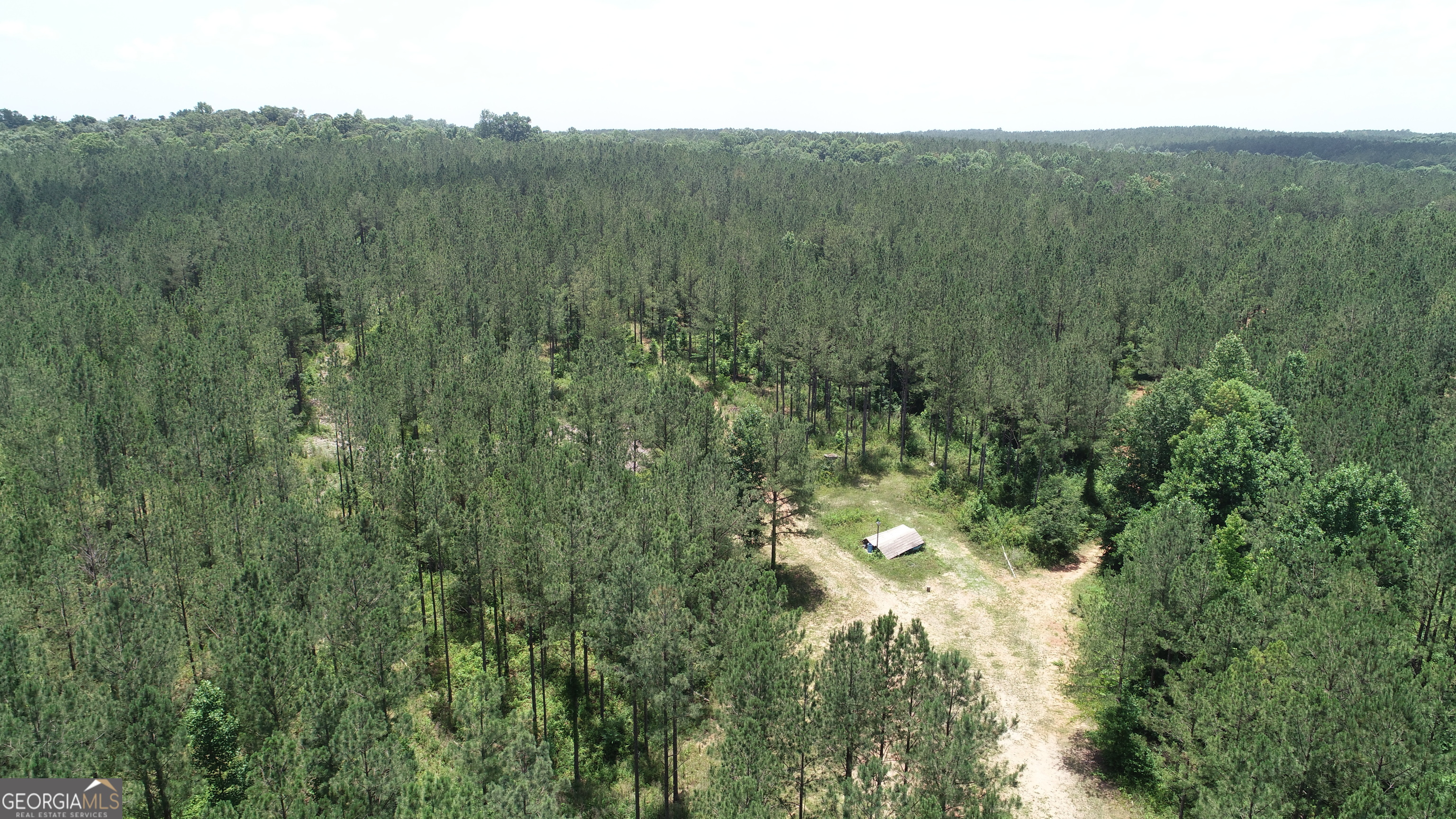 Photo 4 of 6 of 96.33 ACRES Victory RD land