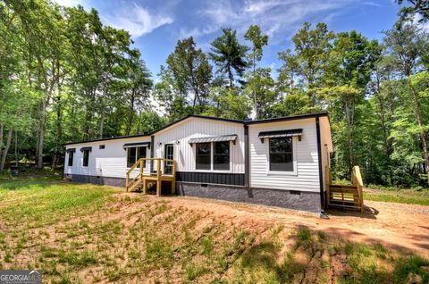 5668 Mobile RD Blue Ridge GA 30513