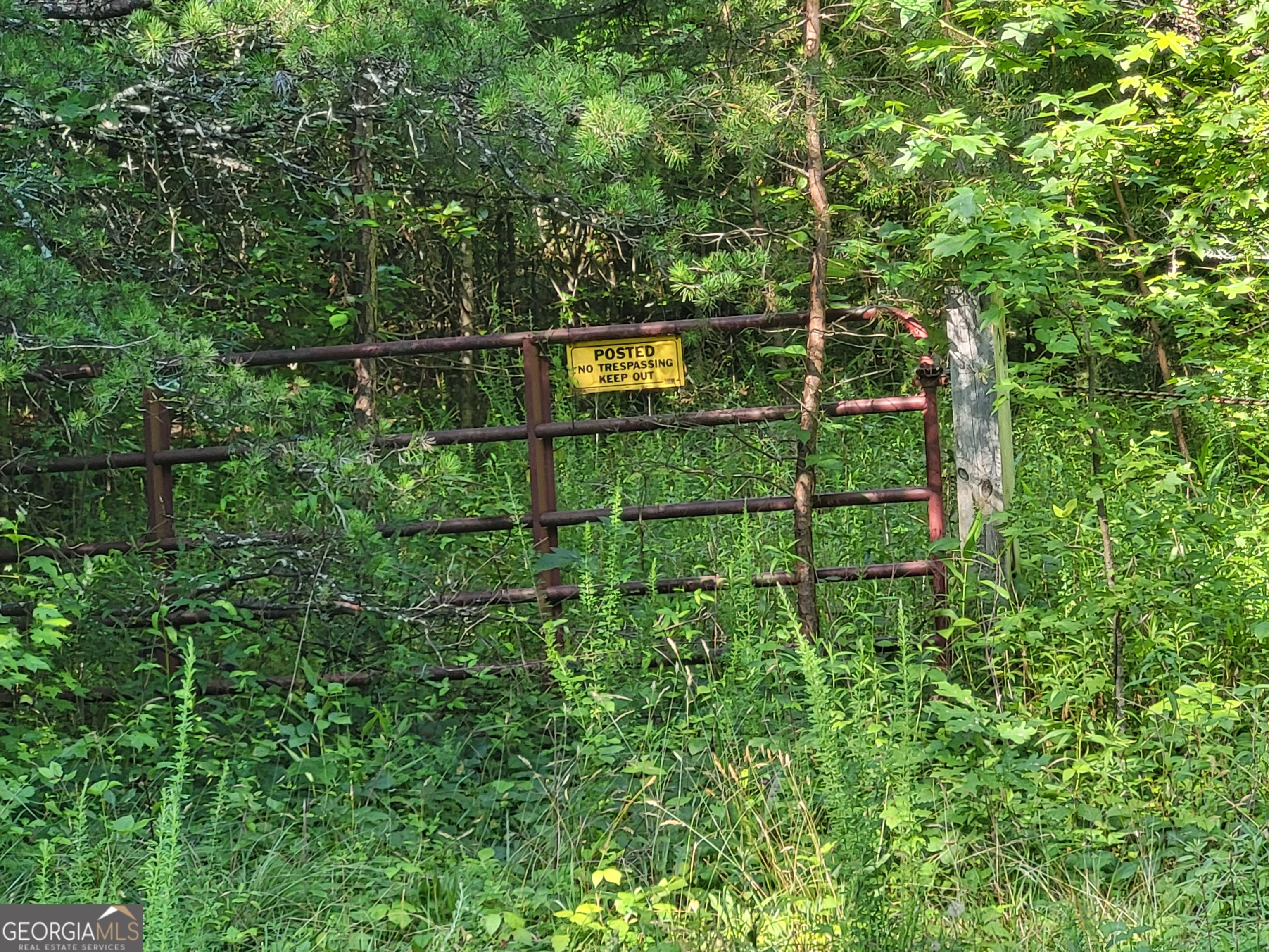 00 Claude Sims RD