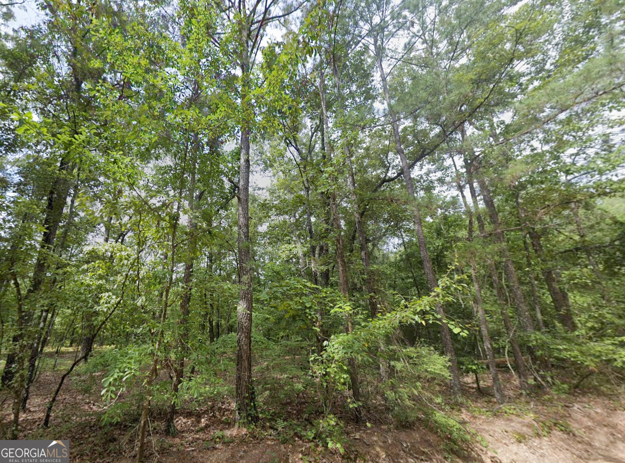 LOT 18 E Old Wire RD