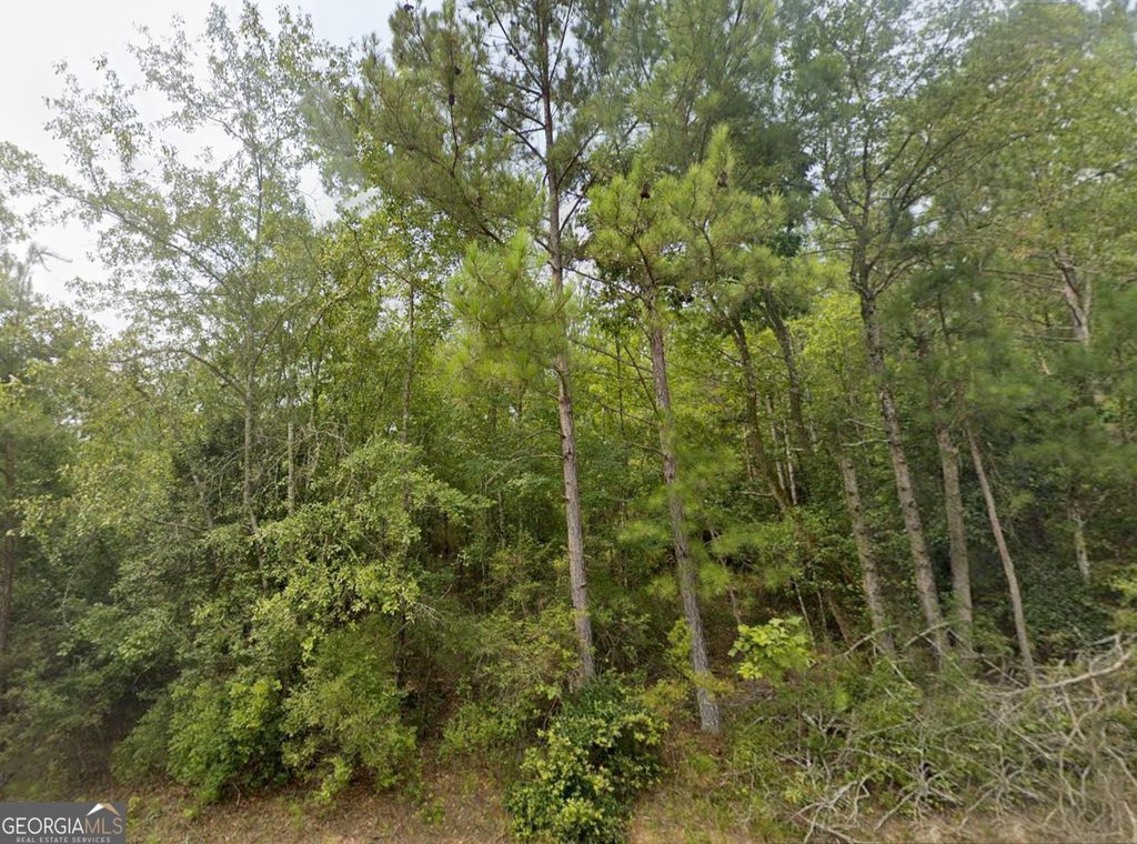 Photo of 18 E Old Wire Road, Butler, GA 31006 (MLS # 10715559)