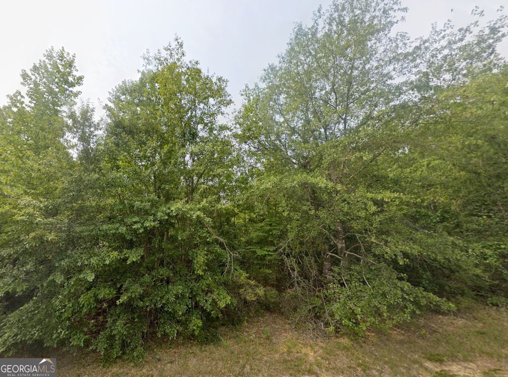 Photo of 18 E Old Wire Road, Butler, GA 31006 (MLS # 10715559)