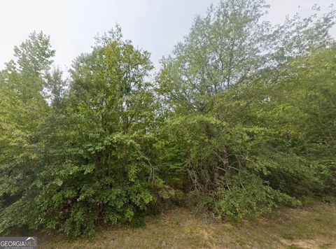 Photo of 18 E Old Wire Road, Butler, GA 31006 (MLS # 10715559)