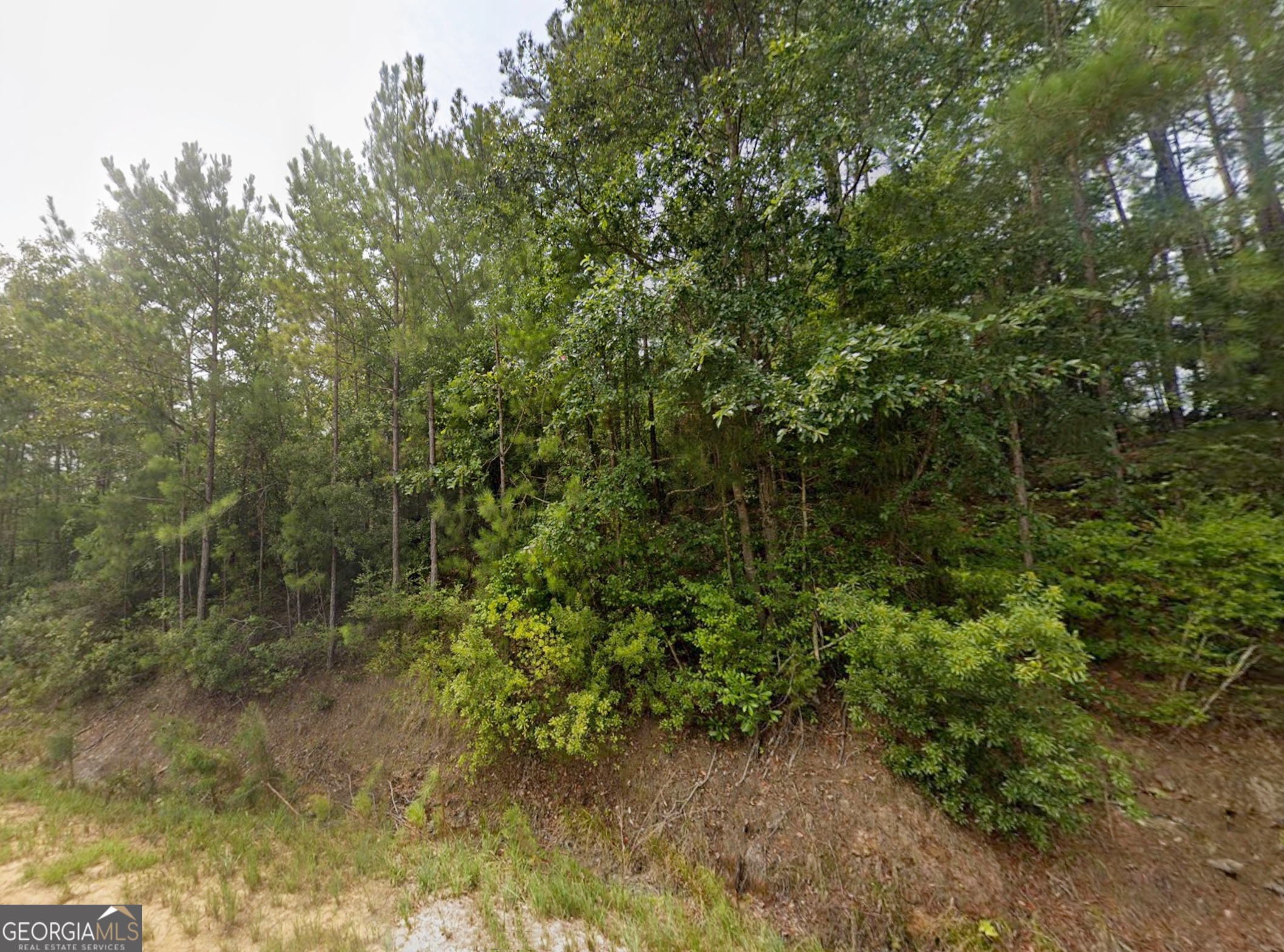 LOT 18 E Old Wire RD