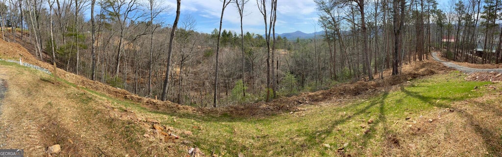 Photo of 0 Mountain Laurel Ridge, Mineral Bluff, GA 30559 (MLS # 10850301)