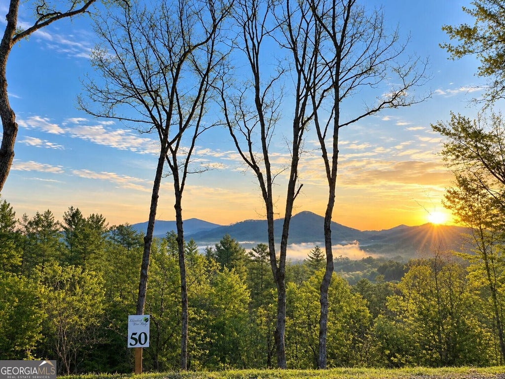 Photo of 0 Mountain Laurel Ridge, Mineral Bluff, GA 30559 (MLS # 10850301)