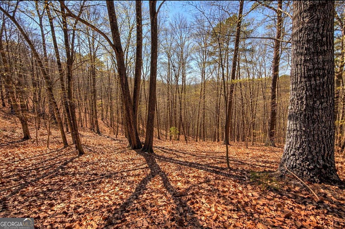 LOT 37 Clear Creek Acres