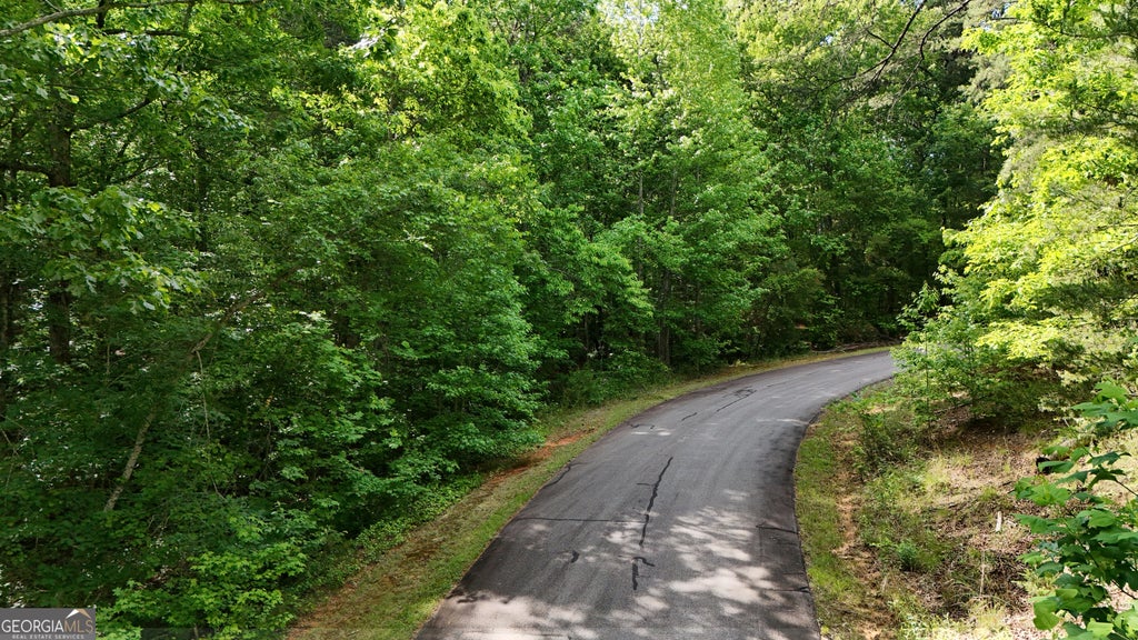 Photo of 0 Terry Court, Clarkesville, GA 30523 (MLS # 10851930)