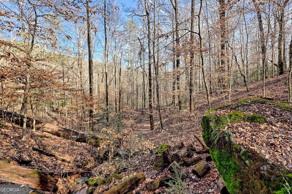 listing image 81