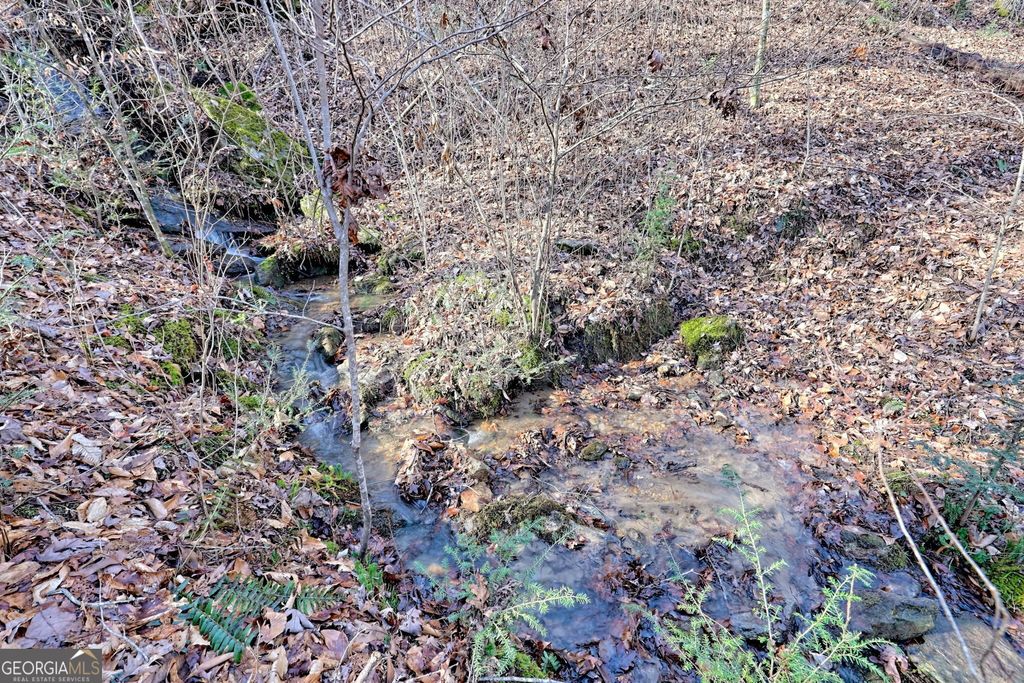 listing image 77