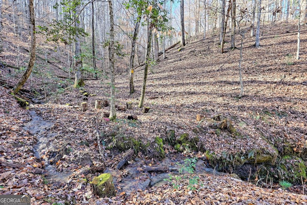 listing image 79