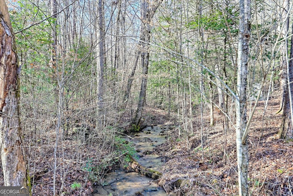 listing image 83