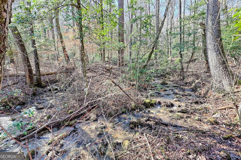 listing image 86