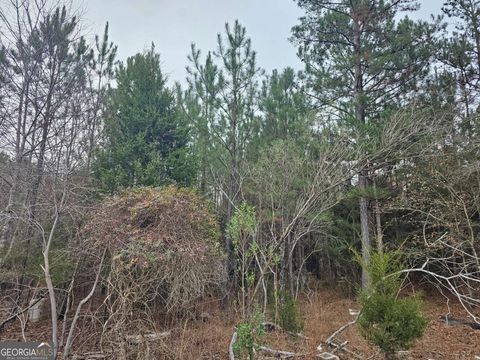 730 Osley Mill RD Carlton GA 30627