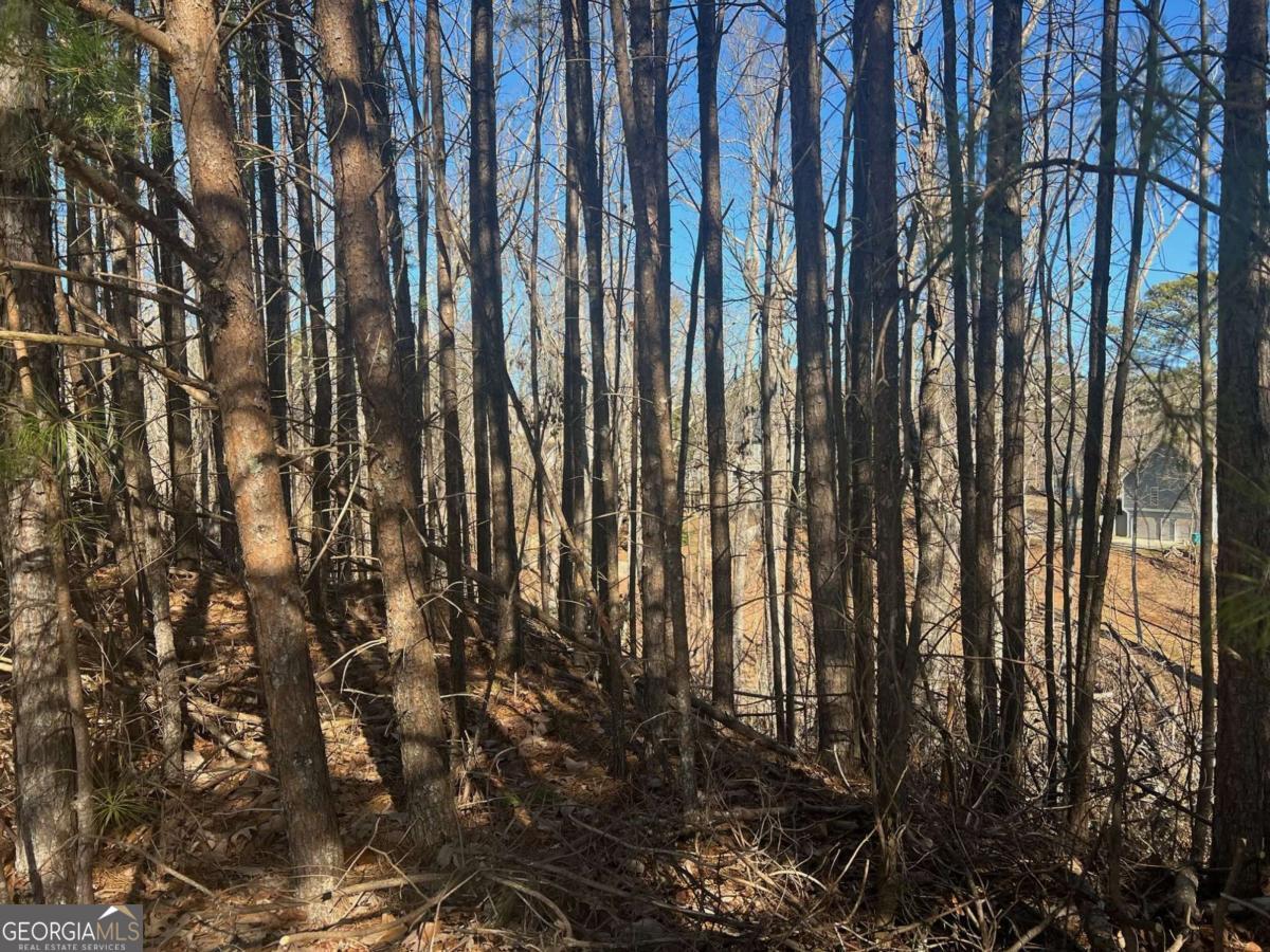 Silver Creek - Land