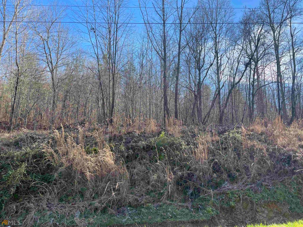 Photo of 0 Rockfence Road, Adairsville, GA 30103 (MLS # 10456444)
